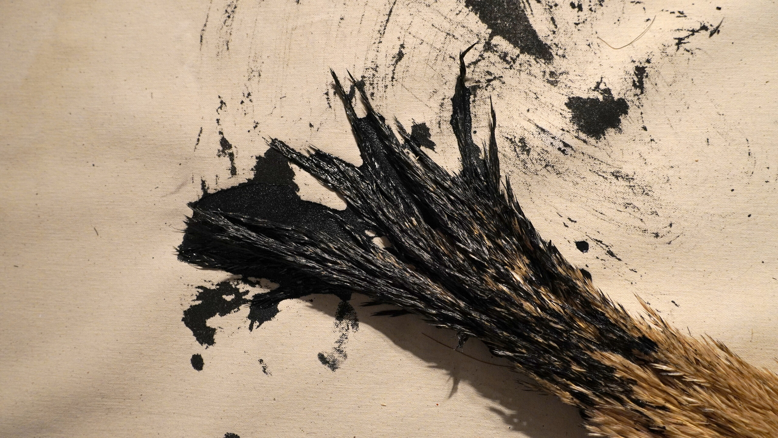 Oil and Discarded Matter on Canvas